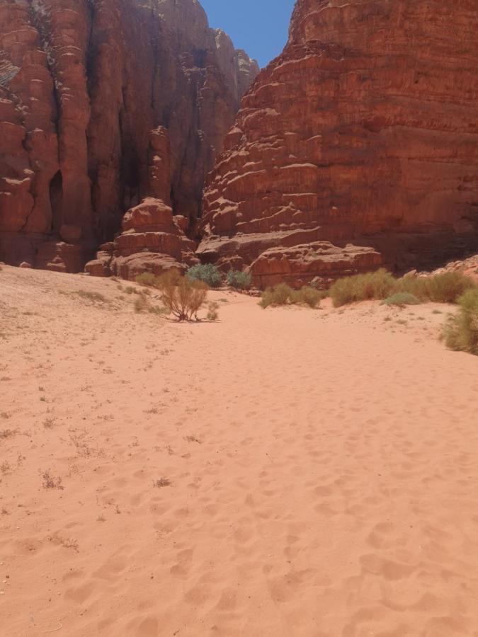 Bedouin Experiences Leilighet Akaba Eksteriør bilde