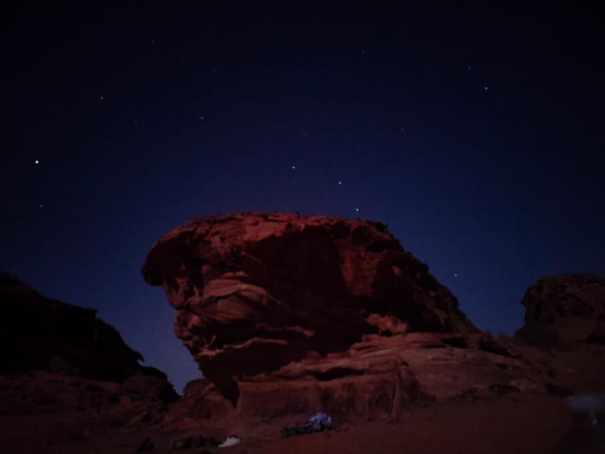 Bedouin Experiences Leilighet Akaba Eksteriør bilde